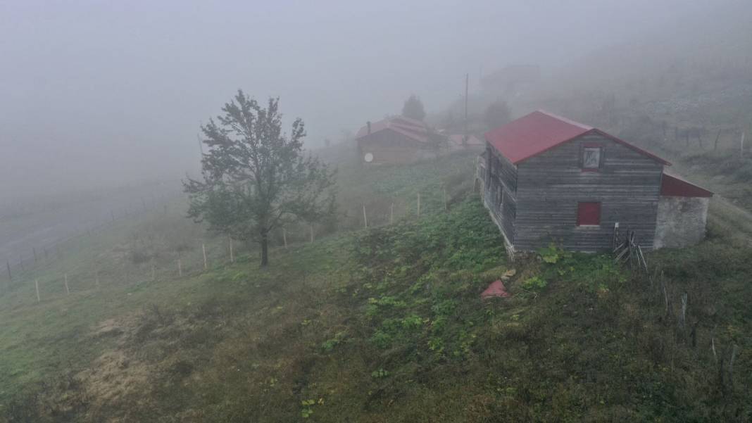 Karadeniz yaylalarında dönüş başladı: Çobanların sisli ve zorlu yolculuğu 1